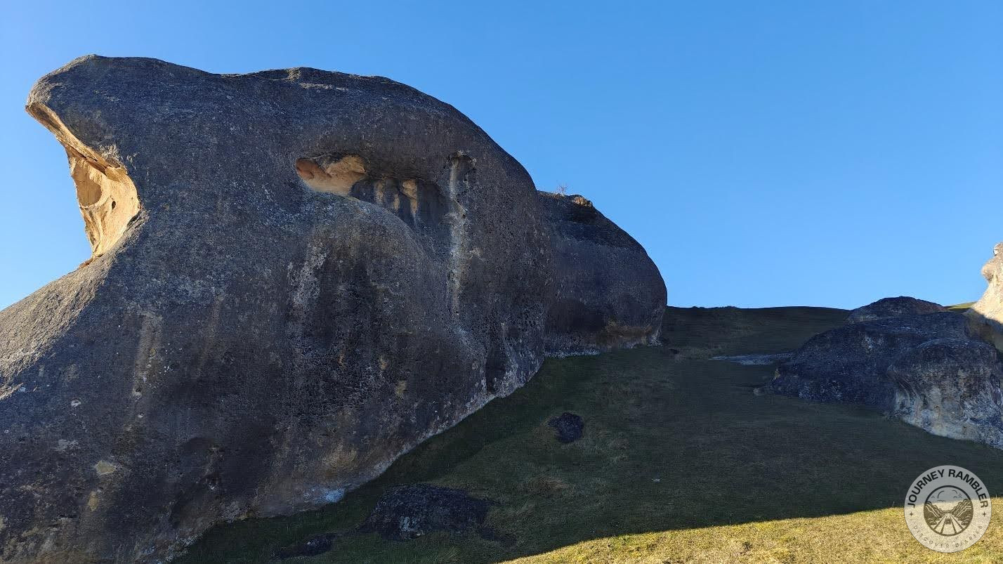 take advantage of the shade here