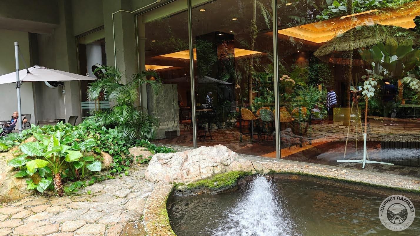 there were also chairs and umbrellas in the garden