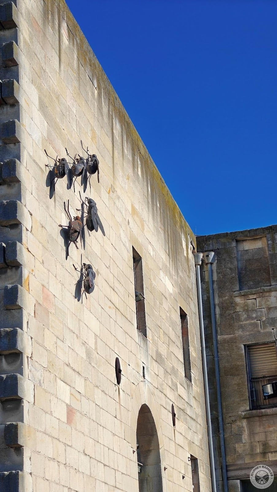 these flies actually looked so real