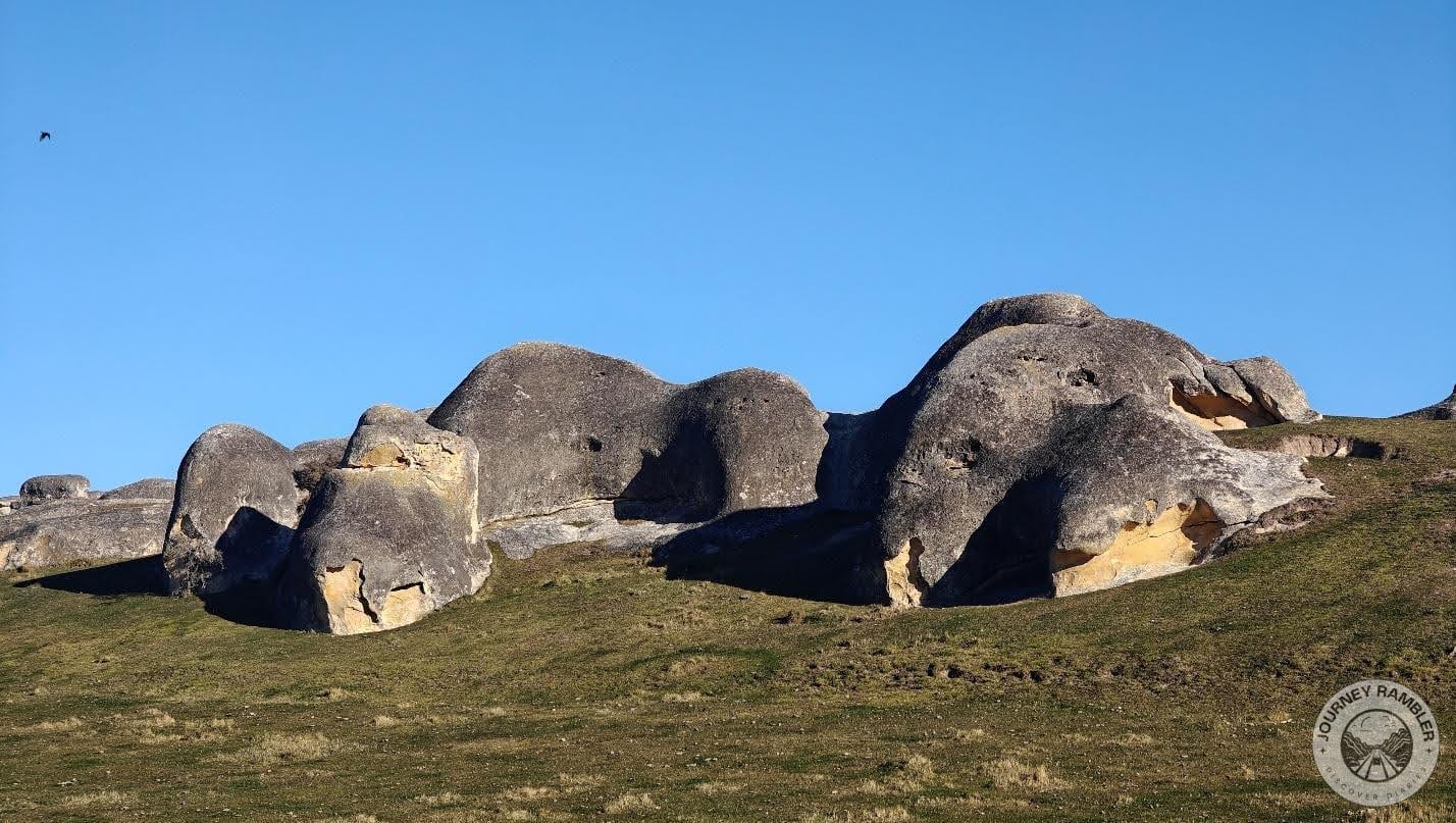 they can help foster an appreciation of nature