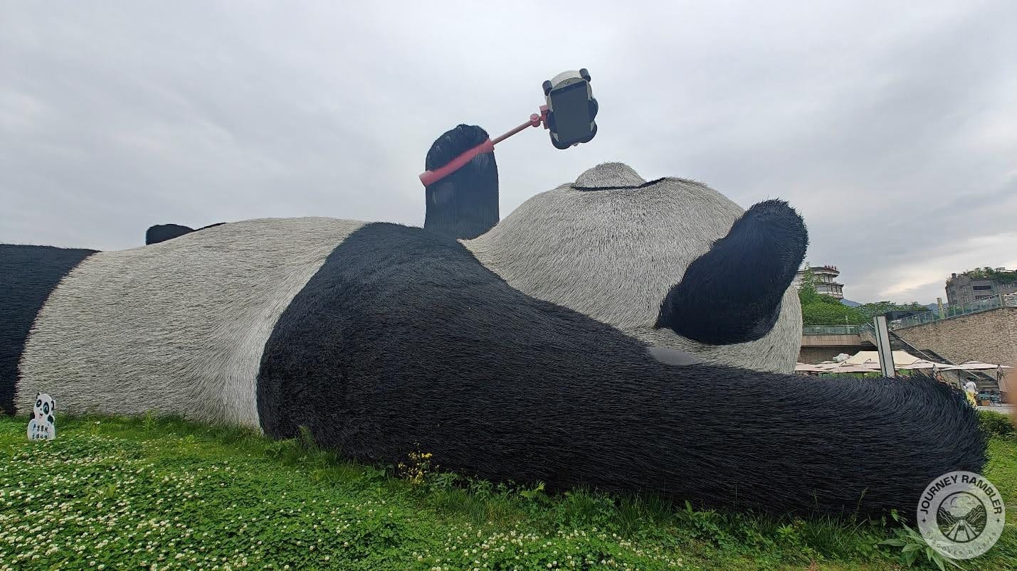 tiny white flowers growing on the grass