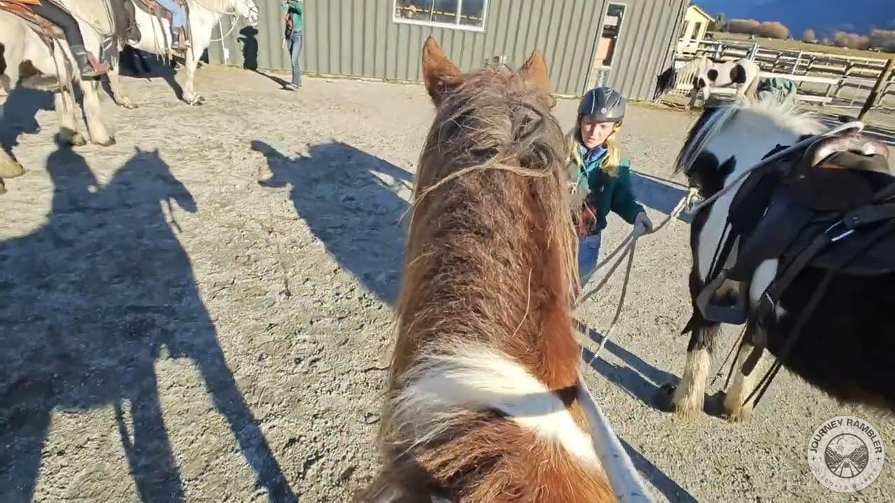 tour ended with us dismounting back at Lighthorse Adventures Horse Trek's corrals