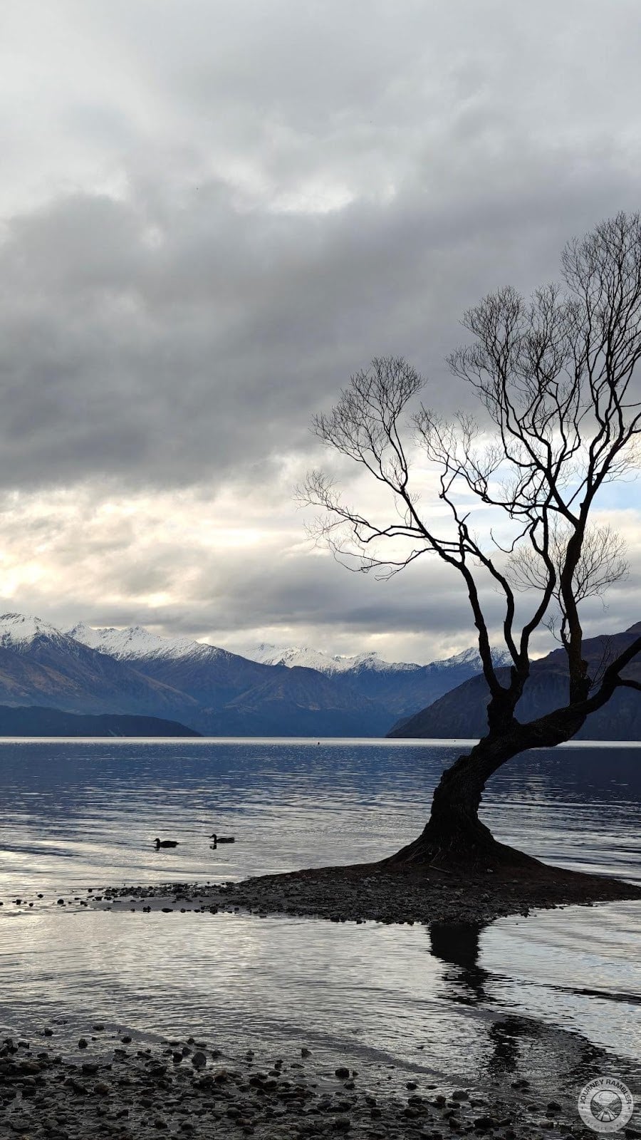 tree really reminds me of the floating torii in Itsukushima Shrine