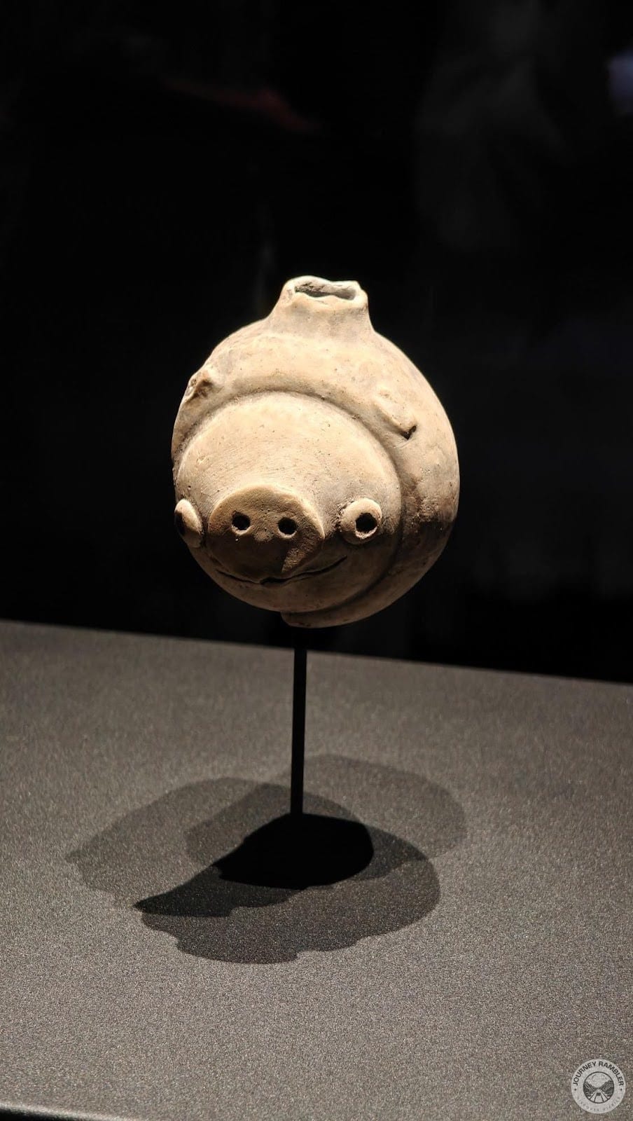 very cute looking pig’s face