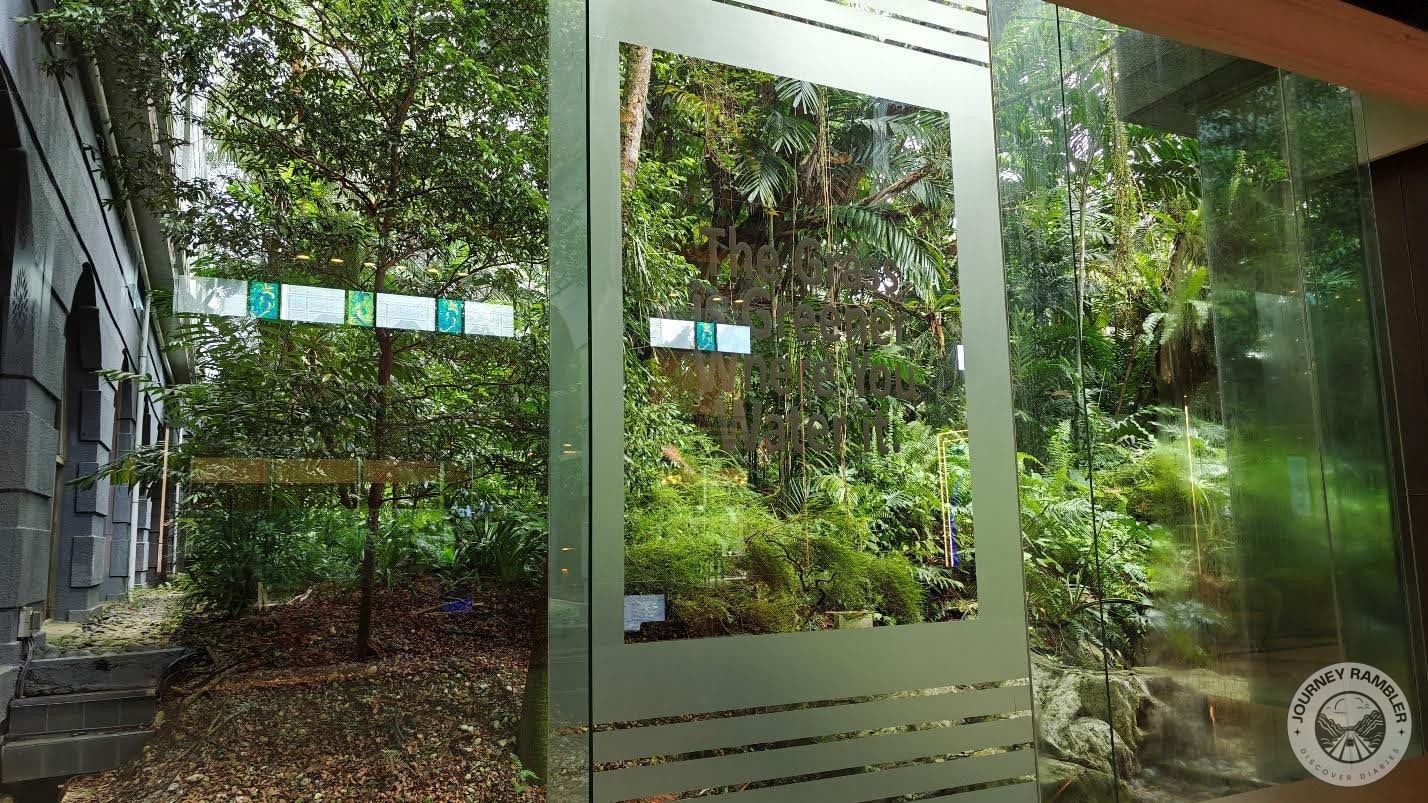 whole space looked like a jungle