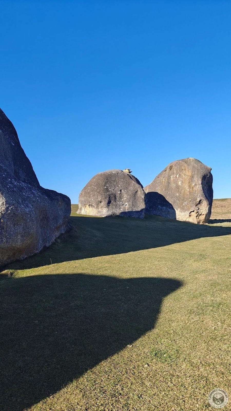 you can always just decide to avoid them and their droppings