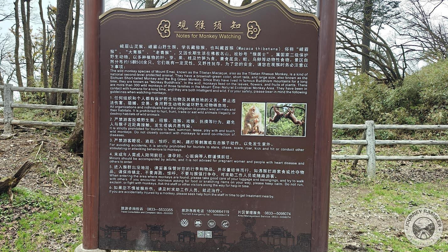 Another thing that you might want to look out for are the monkeys