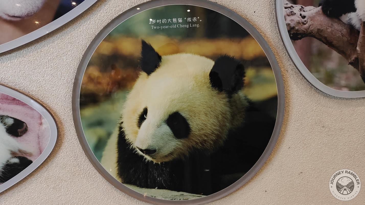 Chang Leng at 2 years of age