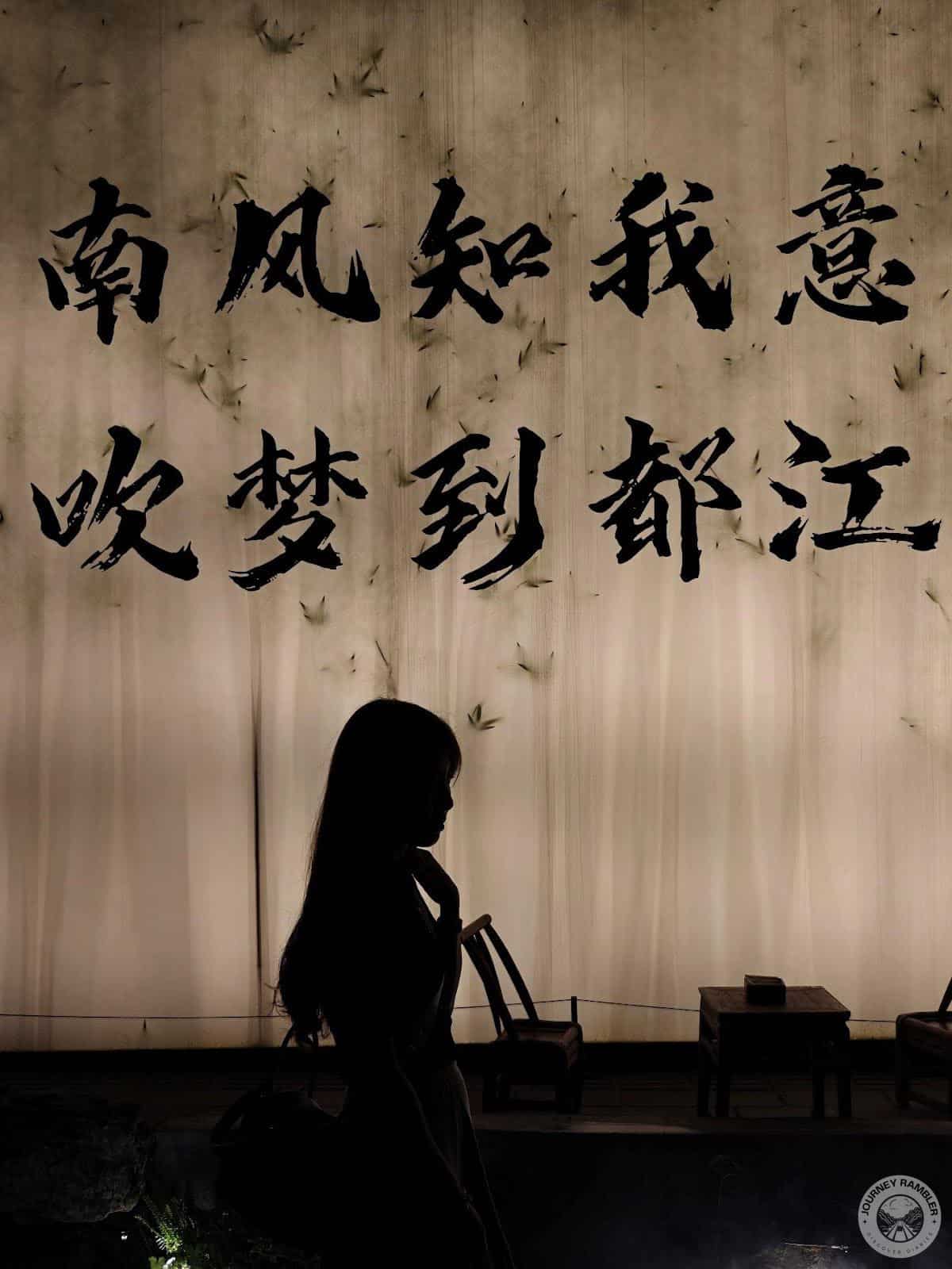 Dujiangyan City after dark