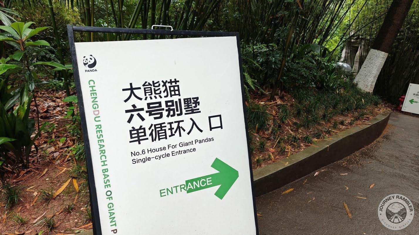 Everyone is queuing to see the star panda named “HuaHua”