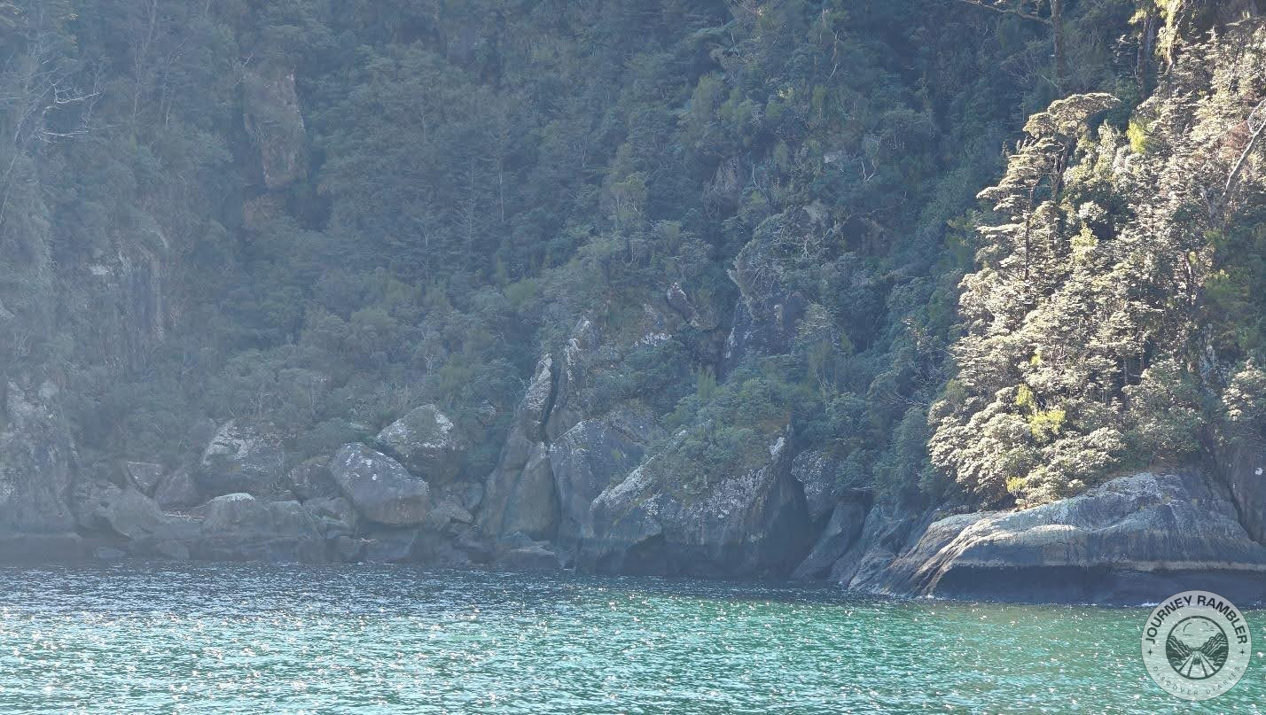 Harrison Cove up close