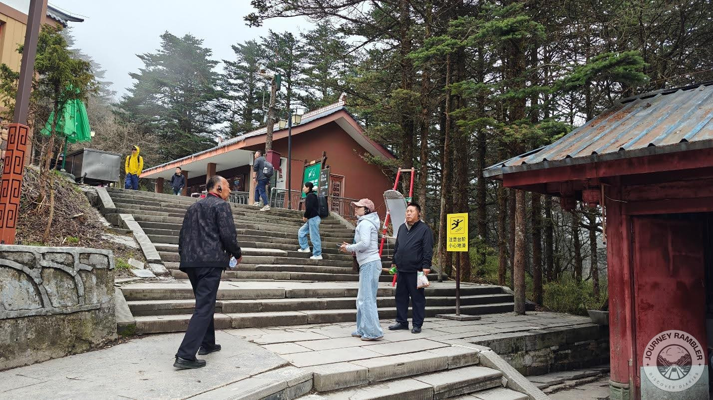 I climbed through coniferous forests