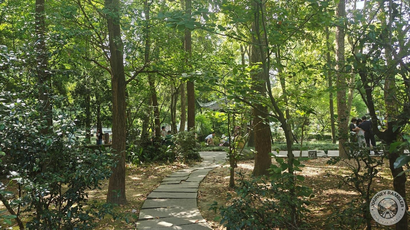 It looked like I had walked inside a forest