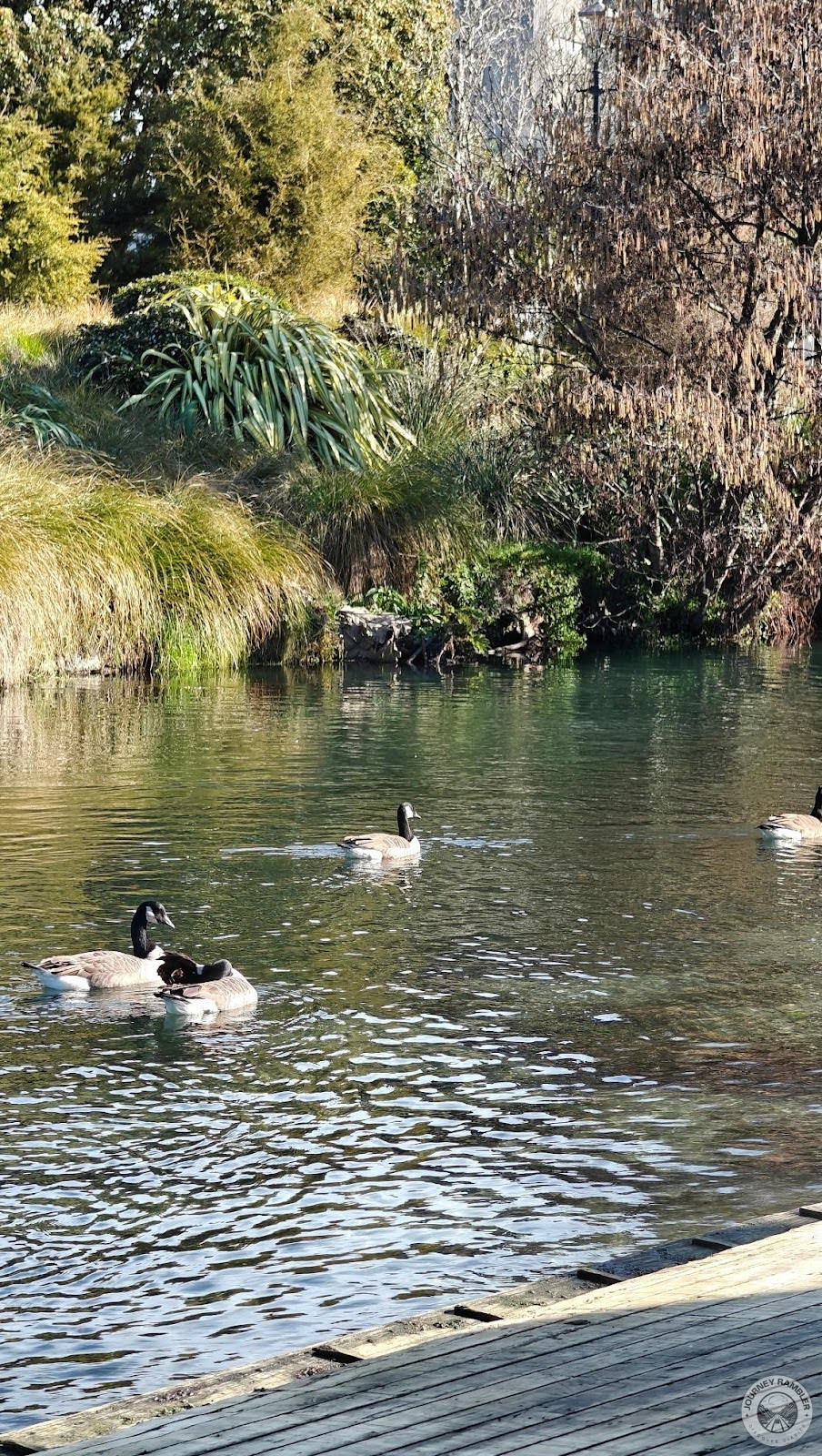 It was a narrow river but it was very pretty