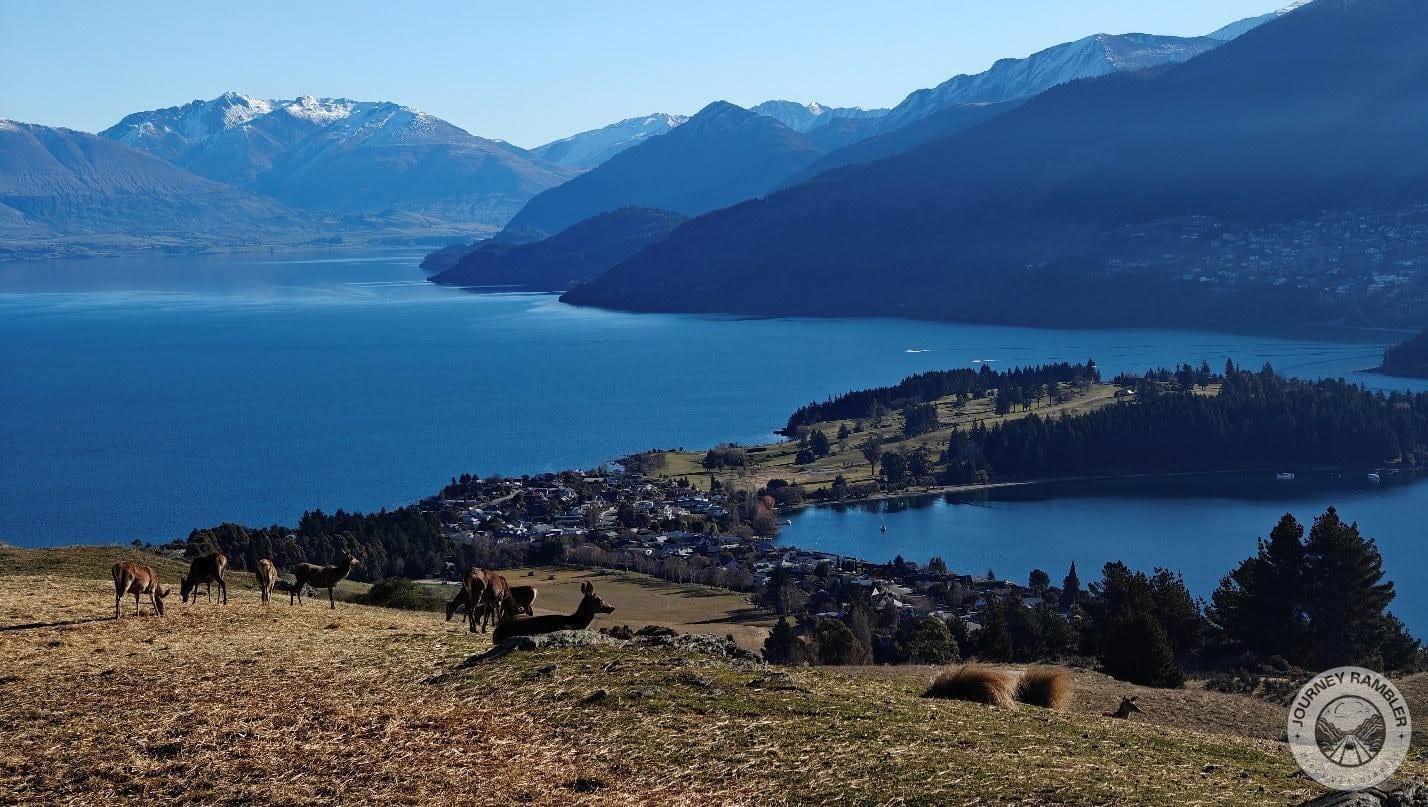 Looking at them here with the lake and mountains in the background
