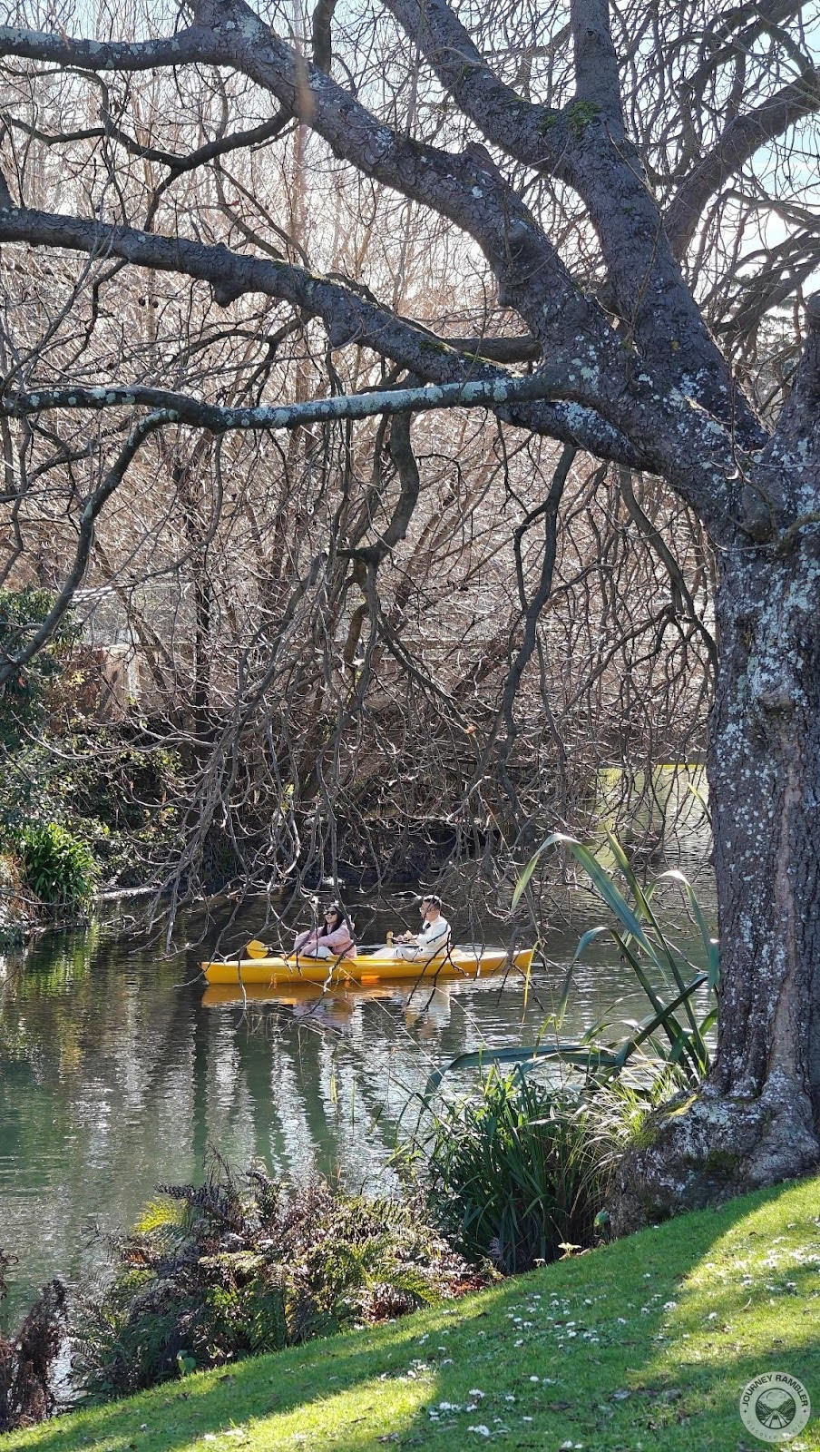 Punting on the Avon River