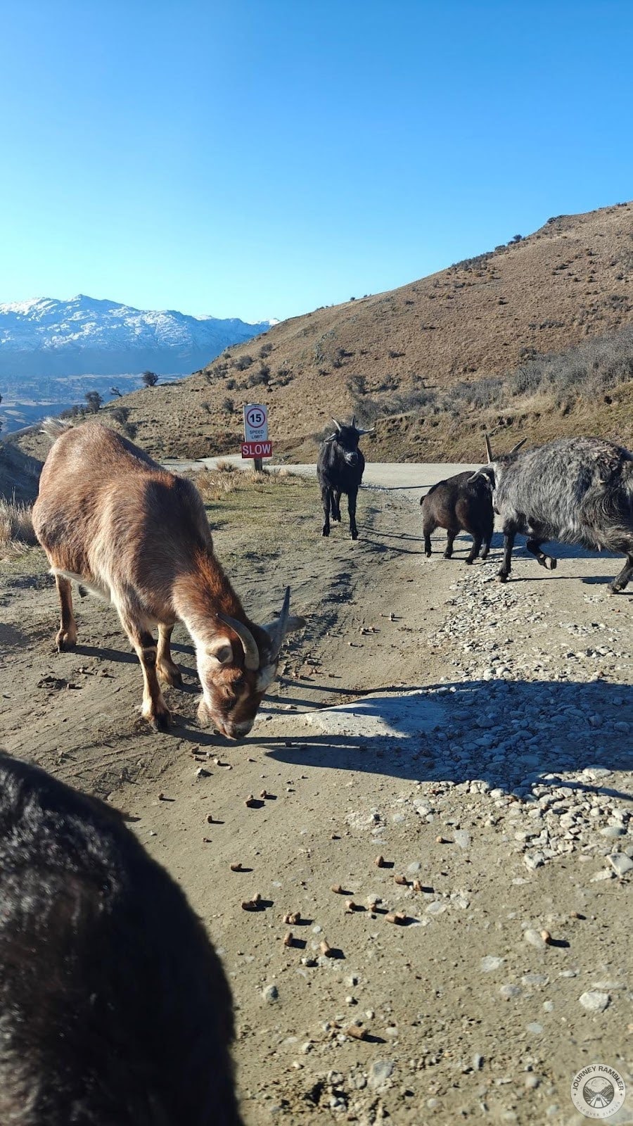 These guys were like highway bandits