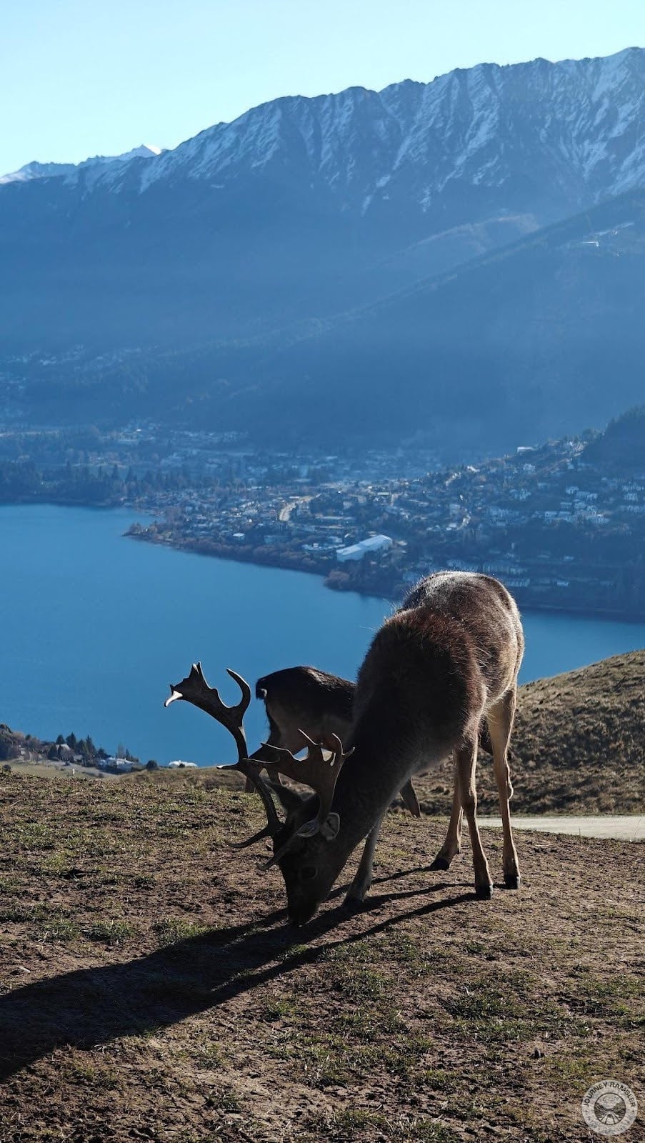 best shot I took on this whole trip