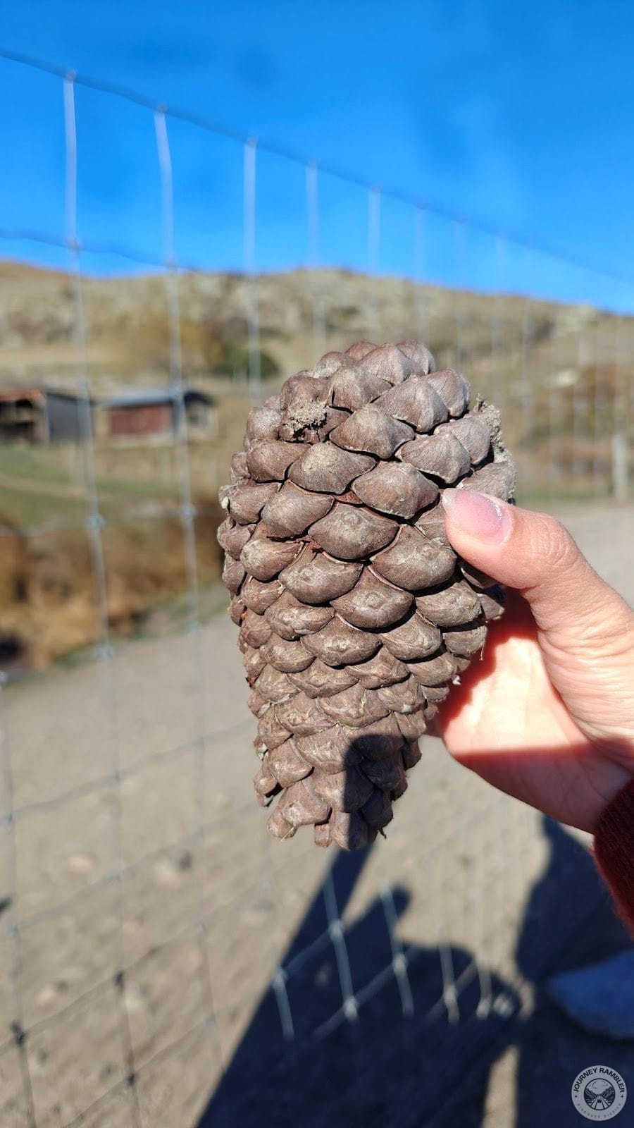 cone