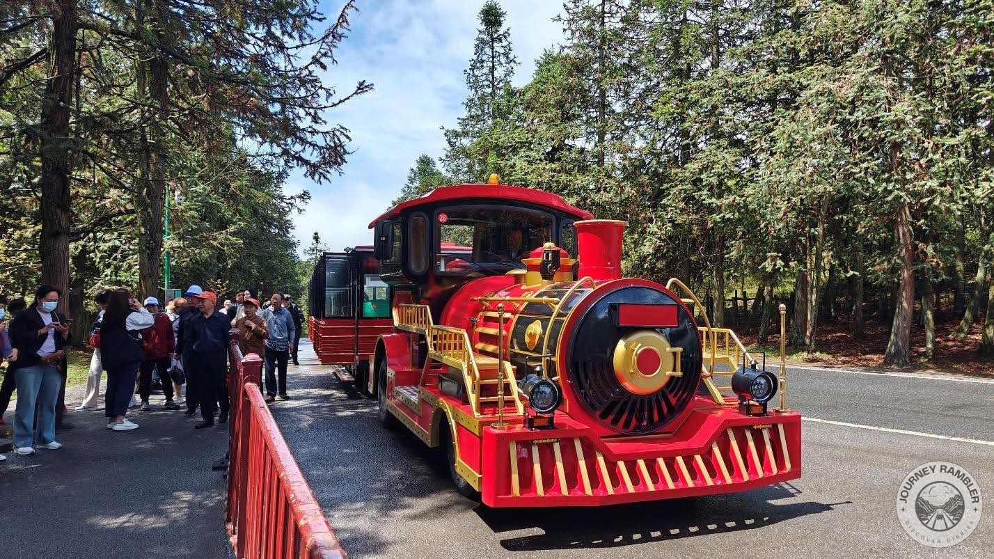 cute red and black train roaming around the park