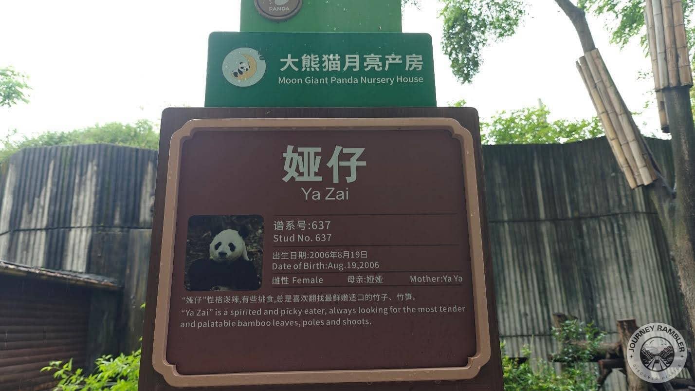 description about Ya Zai