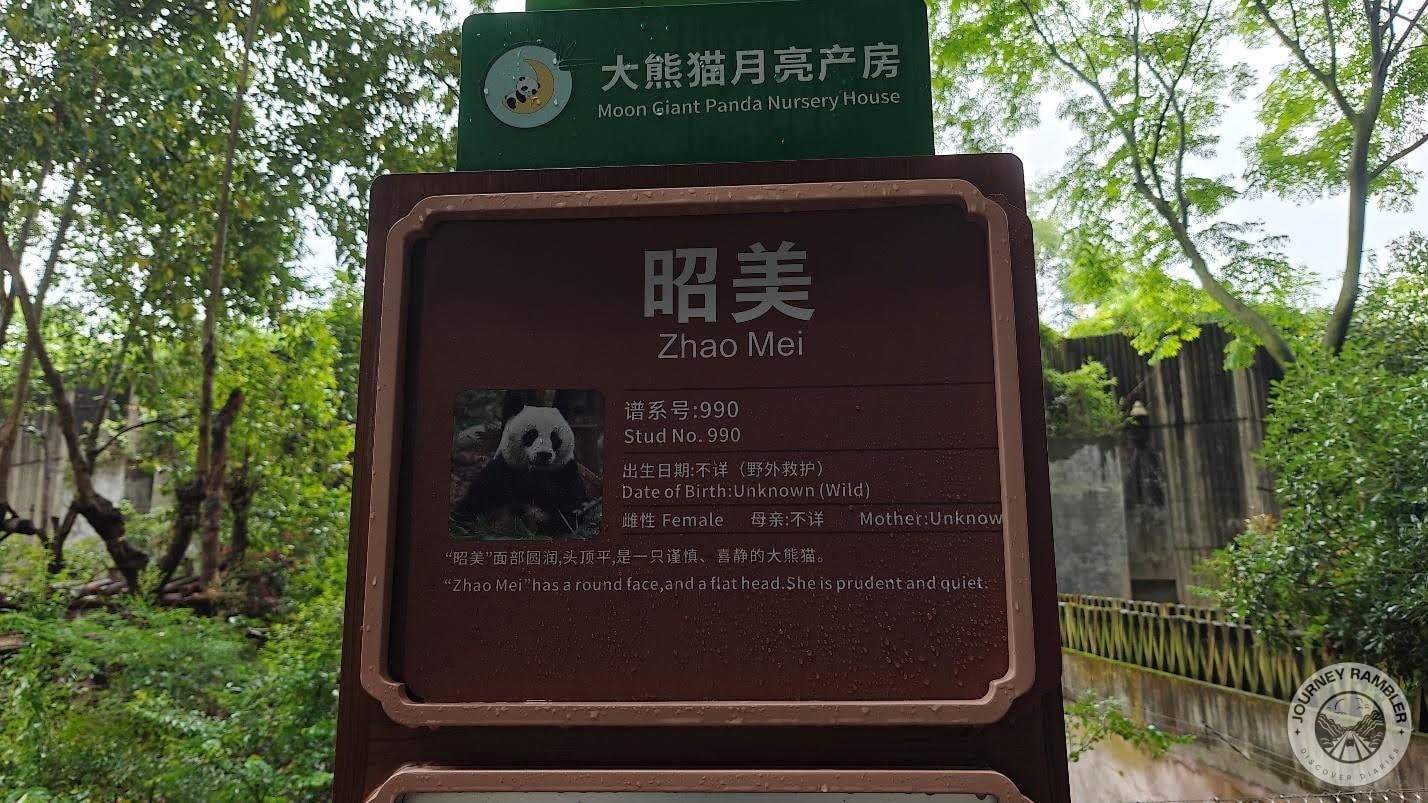 description about Zhao Mei