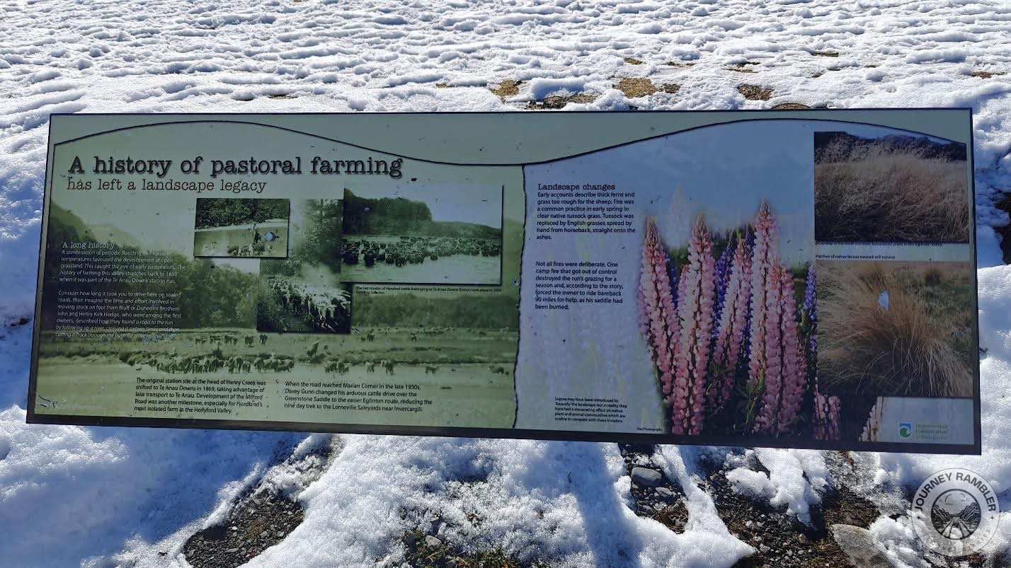 detailed infographics talking about the area