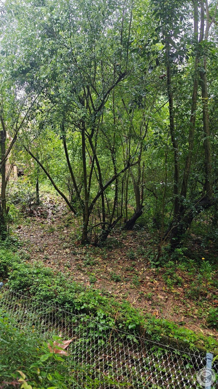 enclosures are relatively large