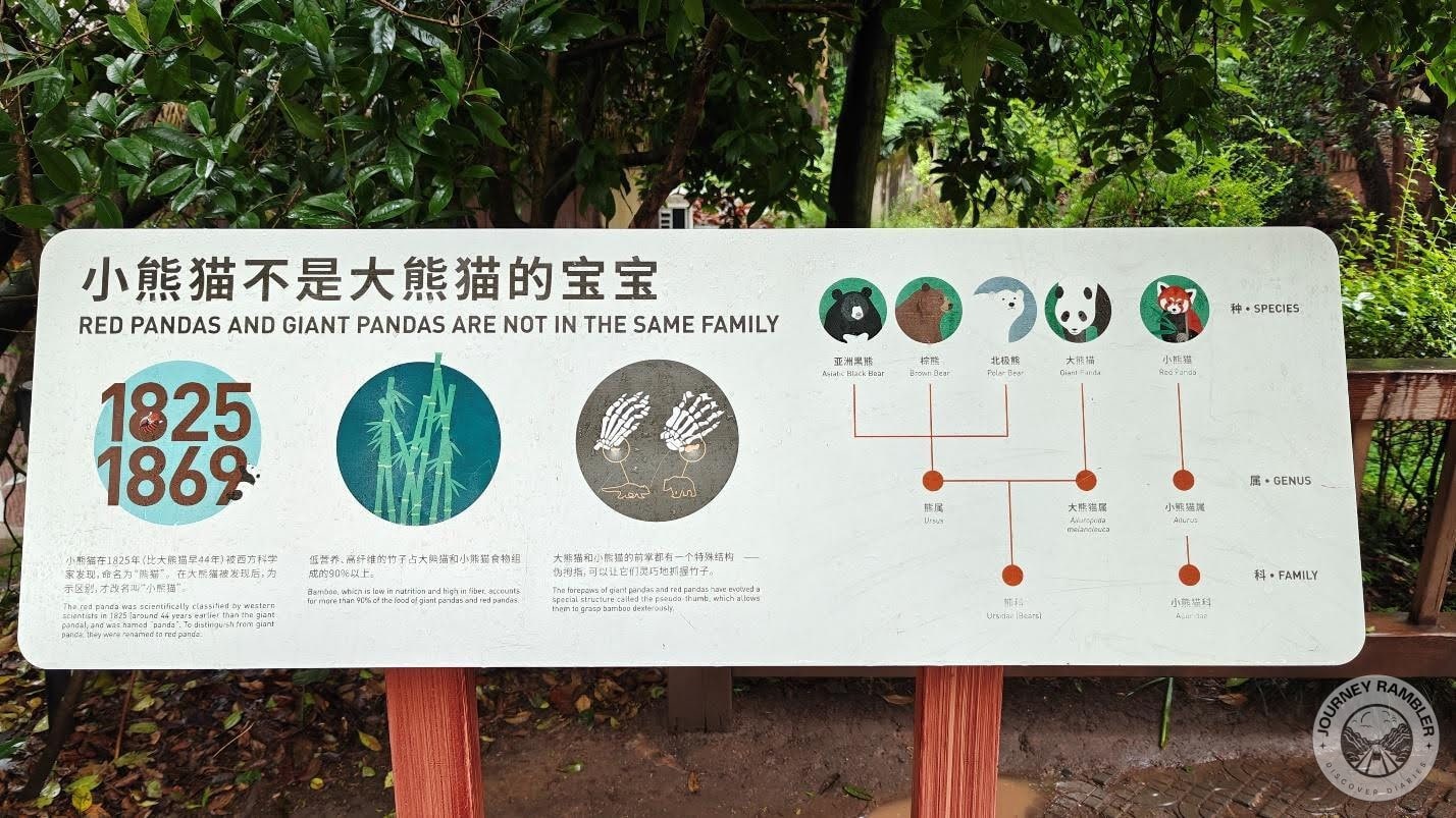 giant and red pandas are NOT related