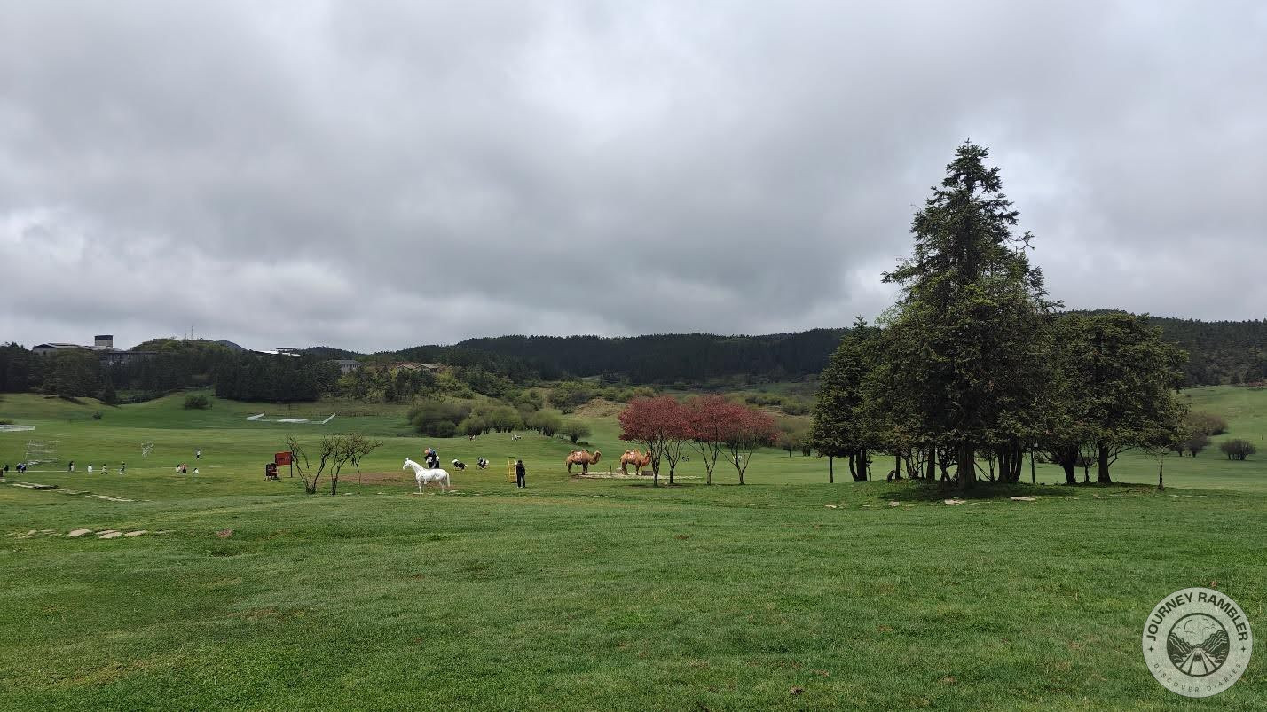 herd of horses grazing in the distance