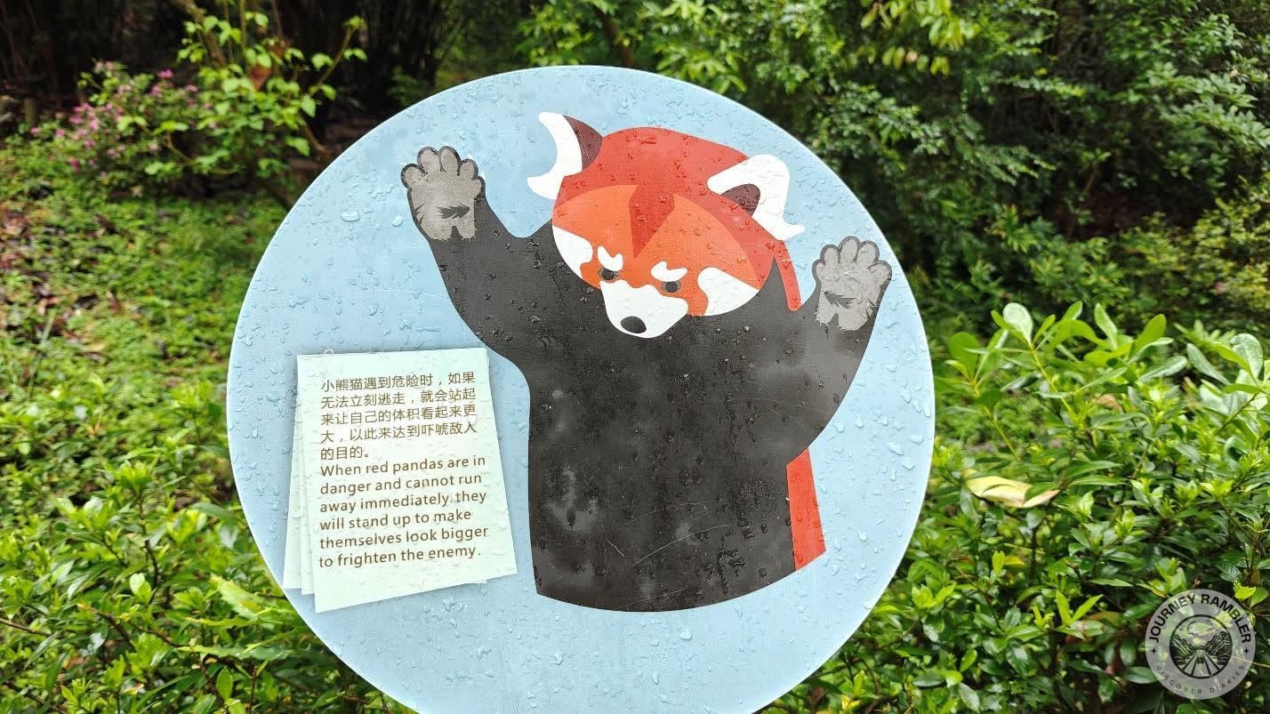 info about the little fellas that I also found hilarious