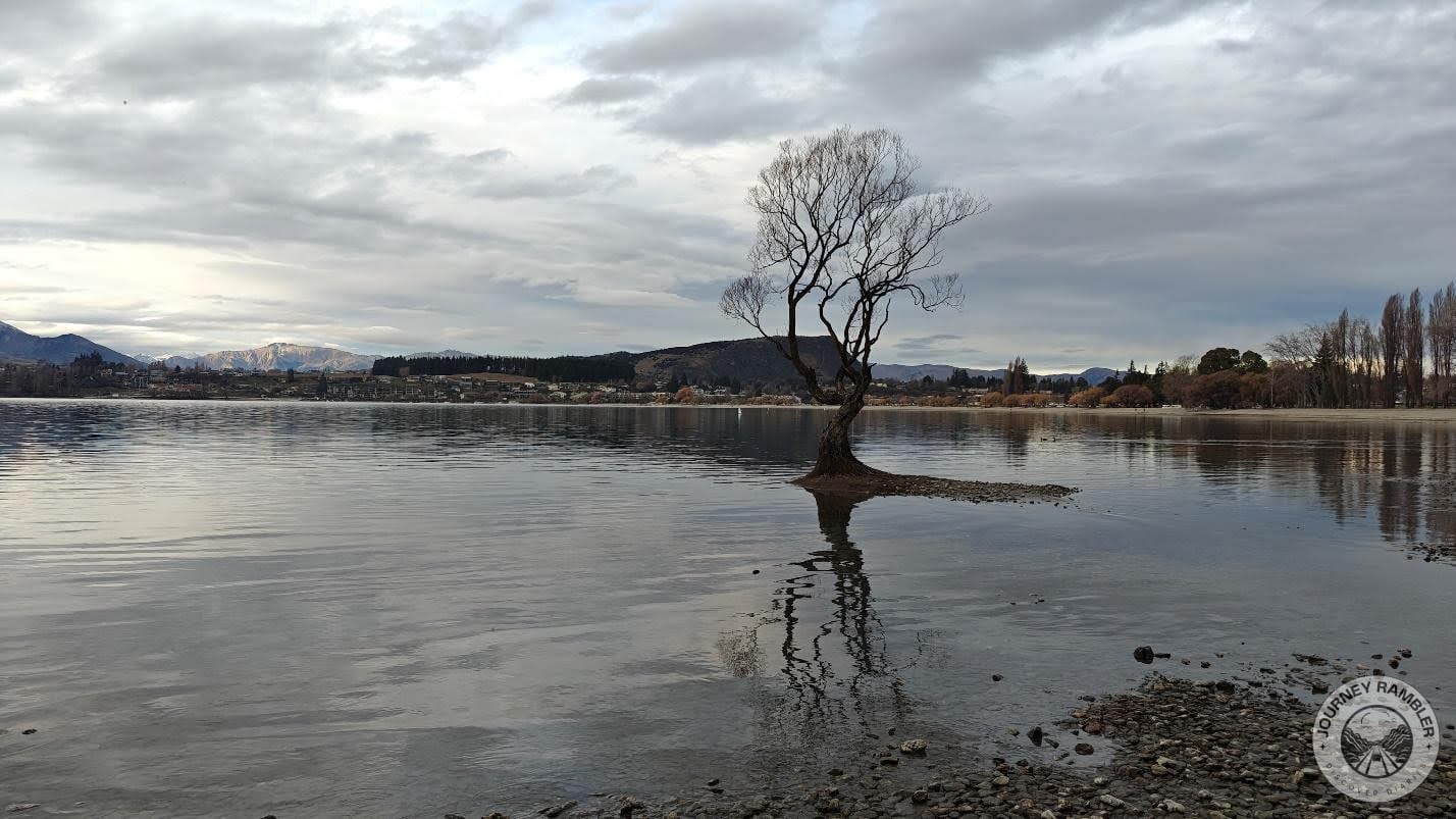 it was mostly dry and dead-looking