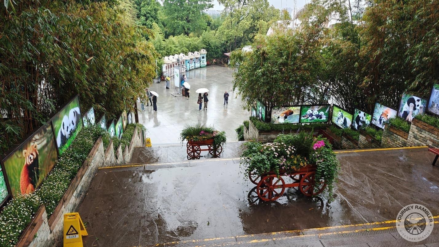 it was raining when I came here to visit