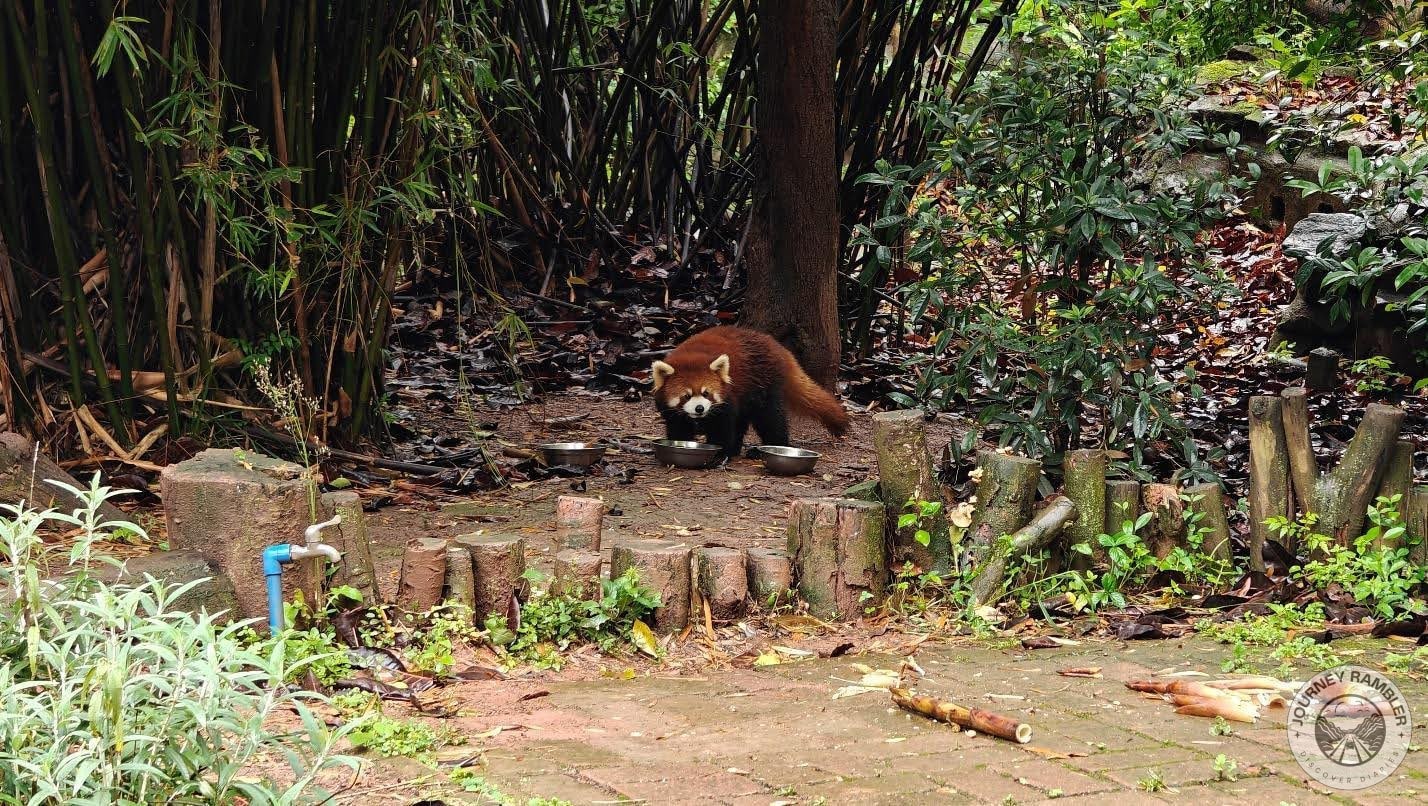 little guy just finished eating