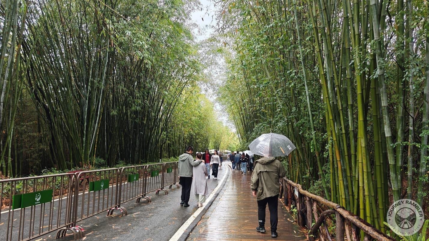 out of the Moonlight Delivery House