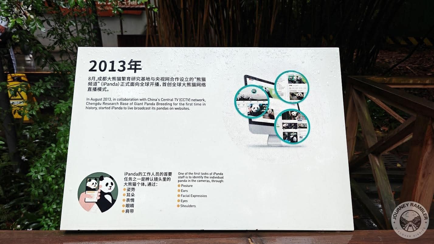 panda live broadcast