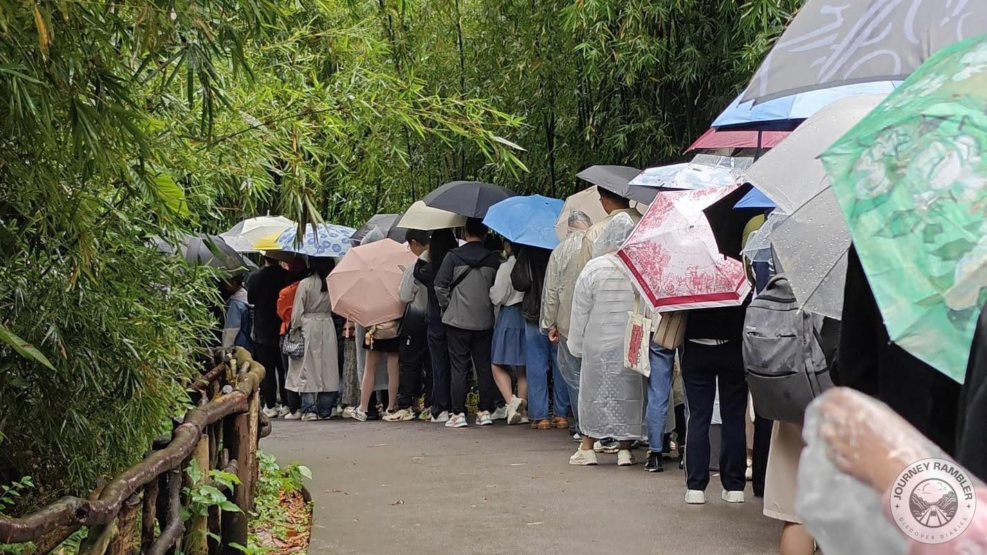 people are lining up