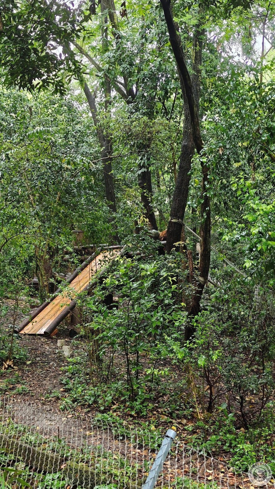 play area of No. 6 Panda Villa