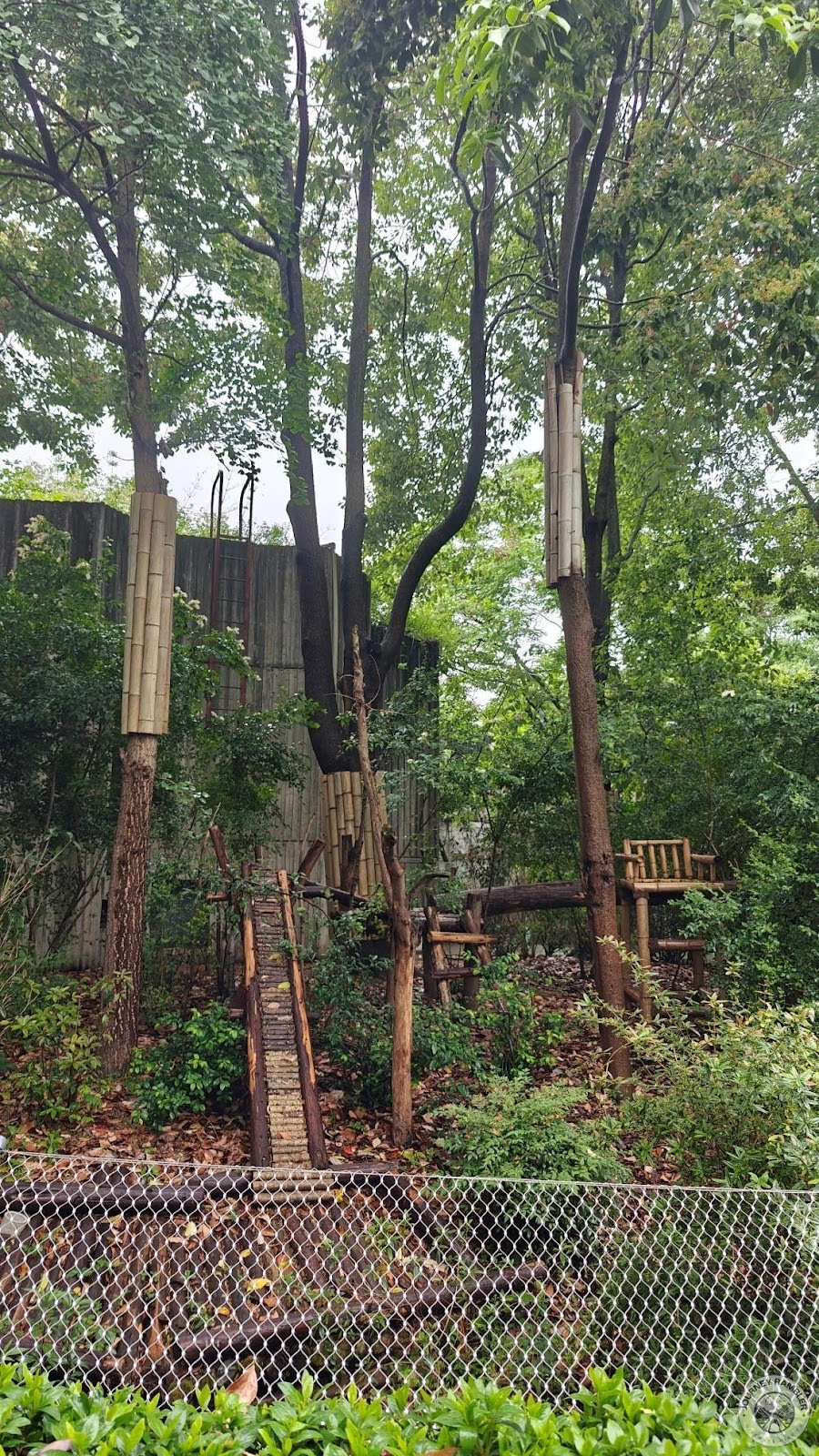 play pen for this enclosure at the Moonlight Delivery House