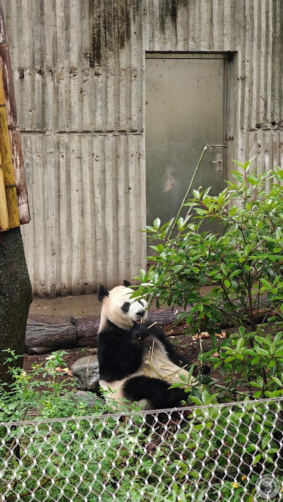 she then focused on eating