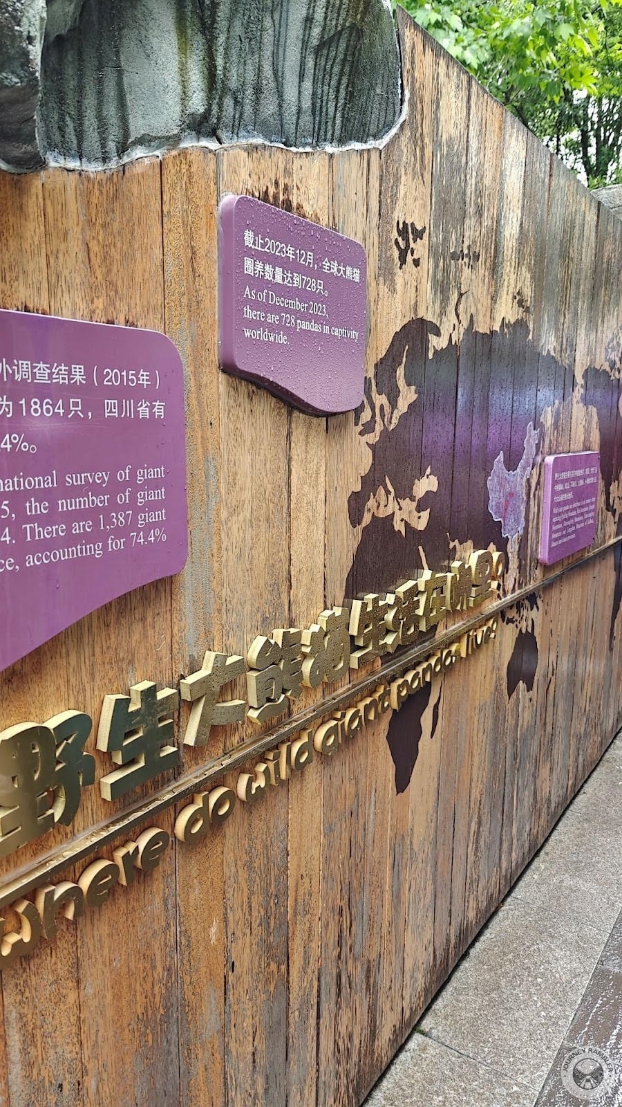 some general stats about the giant panda population