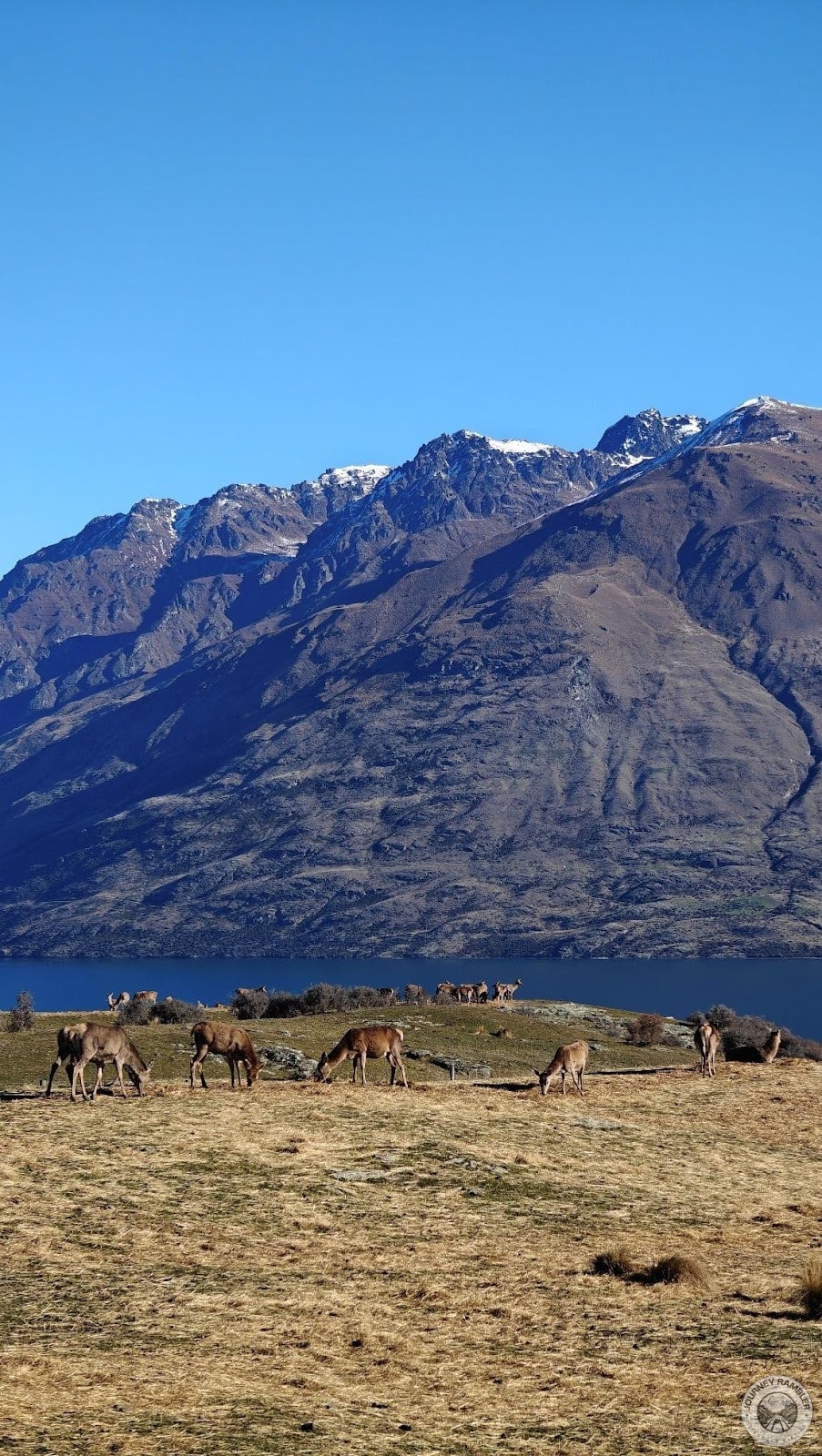 they seem like they're a natural fit here