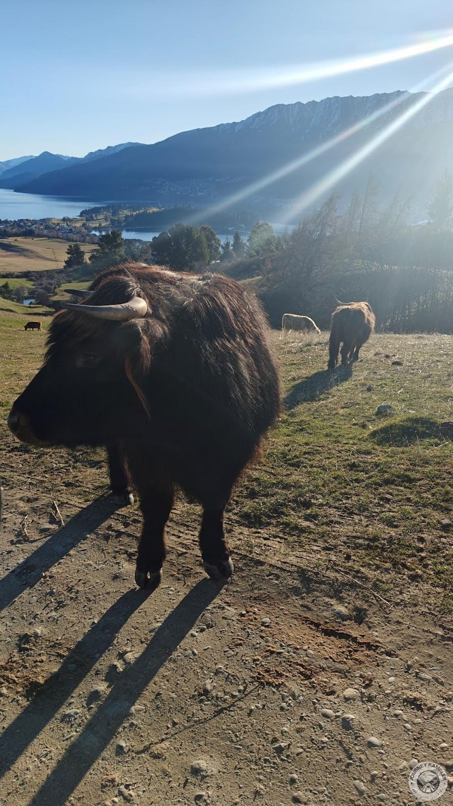 this could have just been a male