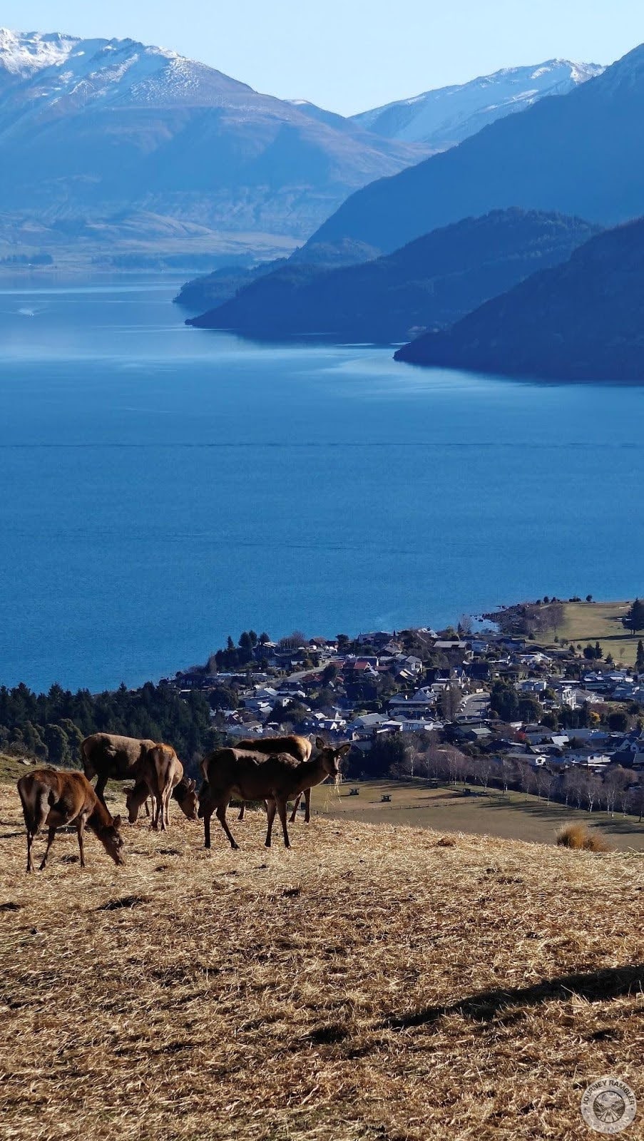 tip of the Kelvin Peninsula background