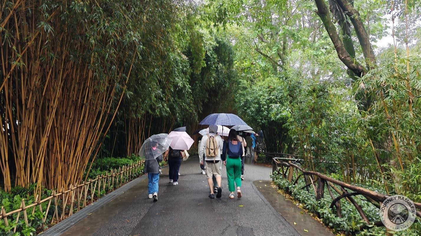 trails here were rather scenic