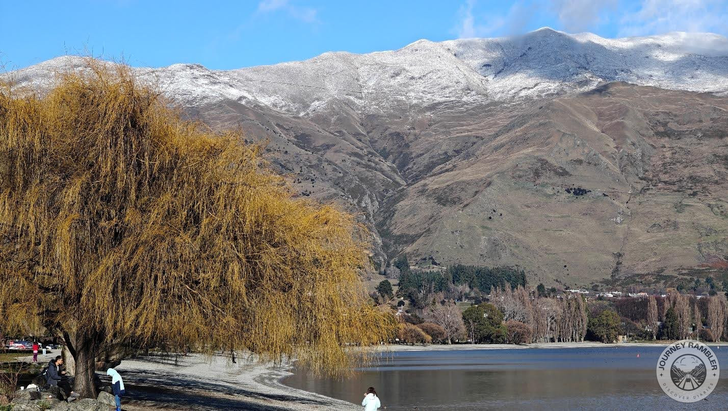 trees had all turned brown and dry