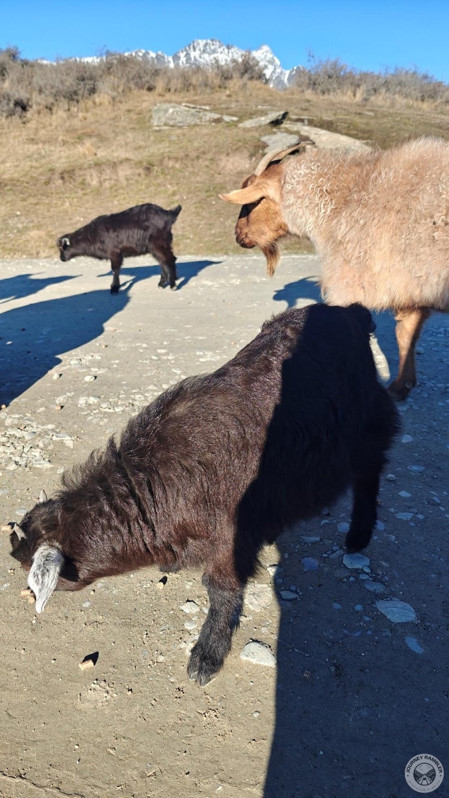 two kids in the picture are an example of the pair of twins