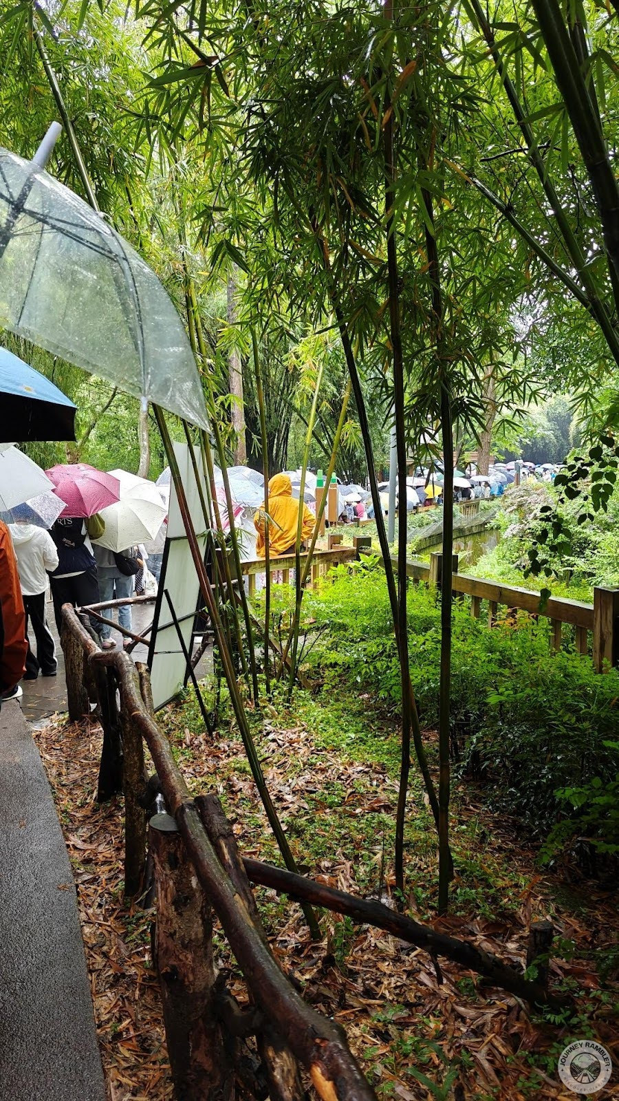 very long line of people