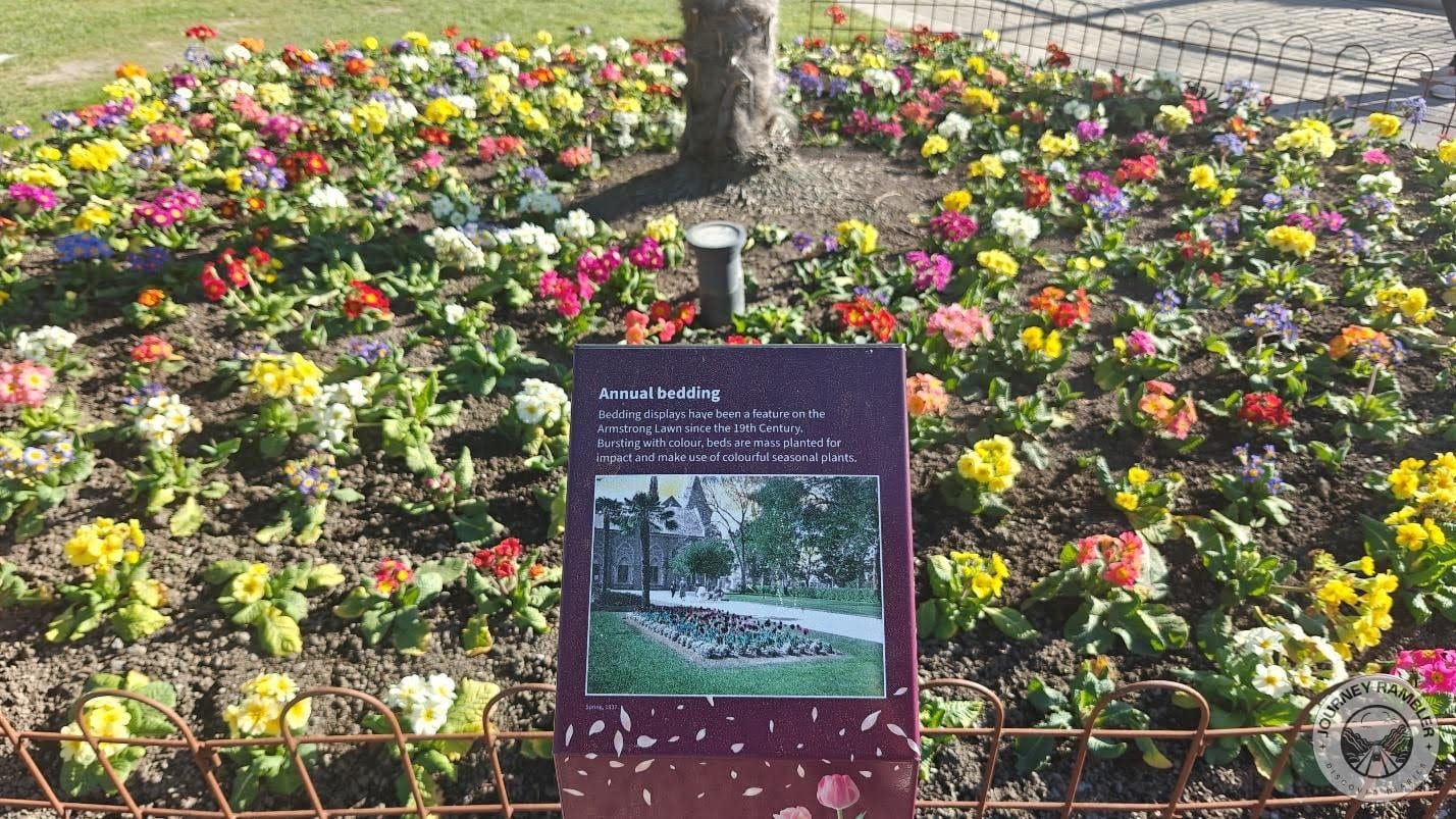 whole beds that were just used for annual plants