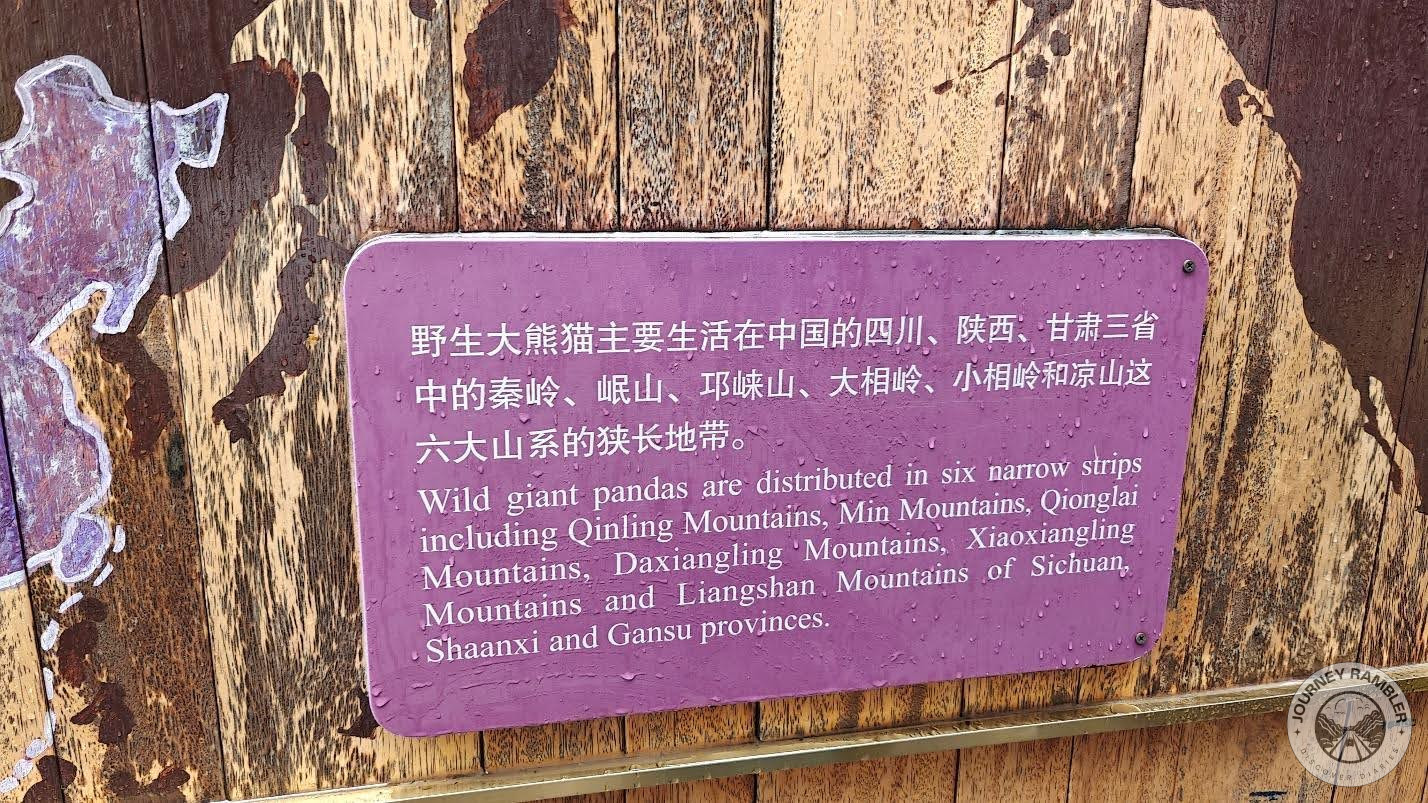 wild giant panda distribution